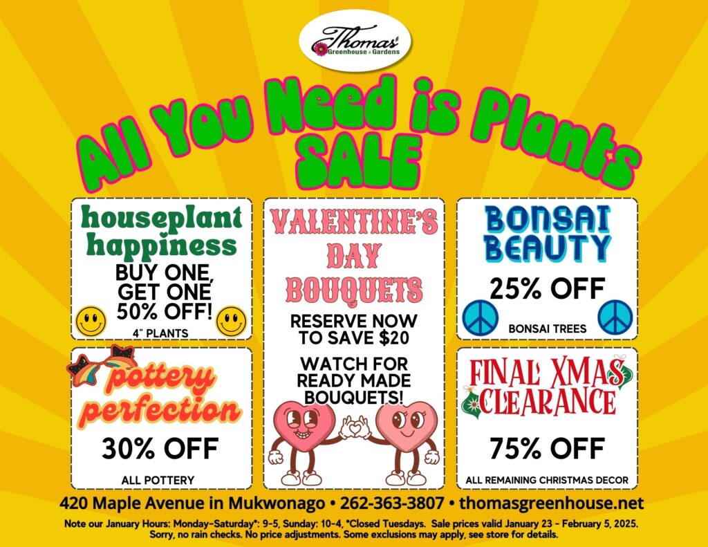 TGH 1-23-25 A bright, cheerful sale flyer for Thomas Greenhouse & Garden Center with the title "All You Need is Plants SALE" in large green letters outlined in pink. The background features a yellow sunburst design. At the top is the Thomas Greenhouse logo in black script with a red flower. The flyer is divided into five sections with bold, colorful headings and details: Houseplant Happiness: Green text on a light green background says, "Buy One, Get One 50% Off! 4-inch plants," with a yellow smiley face in the corner. Pottery Perfection: Red and orange text on a cream background says, "30% Off All Pottery," next to a graphic of a flowerpot with glasses and a flower. Valentine's Day Bouquets: Red text on a white background says, "Reserve Now to Save $20. Watch for ready-made bouquets!" A cartoon heart character holding a bouquet is next to the text. Bonsai Beauty: Blue text on a white background says, "25% Off Bonsai Trees," with a blue peace sign. Final Xmas Clearance: Red and white festive text on a pale cream background says, "75% Off All Remaining Christmas Decor." At the bottom, smaller text provides store information: Address: 420 Maple Avenue in Mukwonago Phone: 262-363-3807 Website: thomasgreenhouse.net January Hours: Monday–Saturday: 9 AM–5 PM, Sunday: 10 AM–4 PM, Closed Tuesdays. Disclaimer: "Sale prices valid January 23–February 5, 2025. Sorry, no rain checks. No price adjustments. Some exclusions may apply. See store for details.